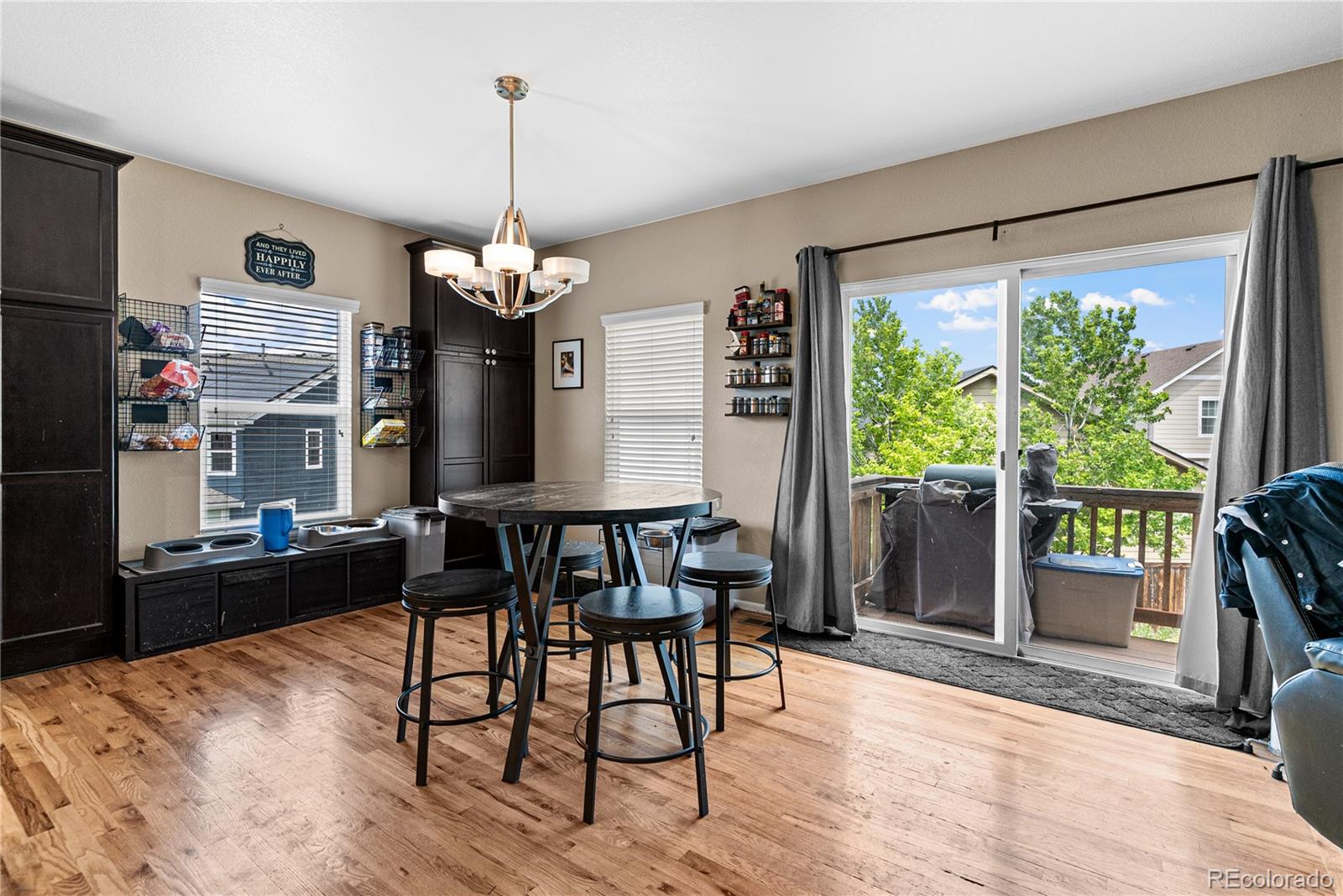 MLS Image #2 for 3508  amber sun circle,castle rock, Colorado