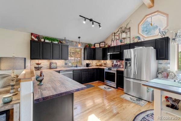 MLS Image #12 for 182  spruce trail,bailey, Colorado