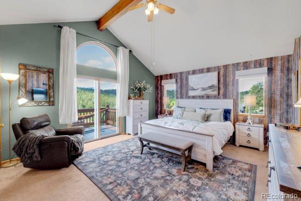 MLS Image #15 for 182  spruce trail,bailey, Colorado