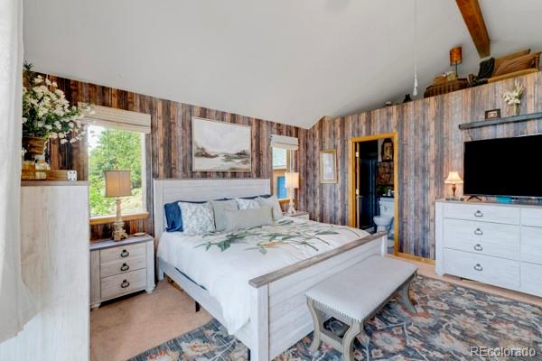 MLS Image #16 for 182  spruce trail,bailey, Colorado