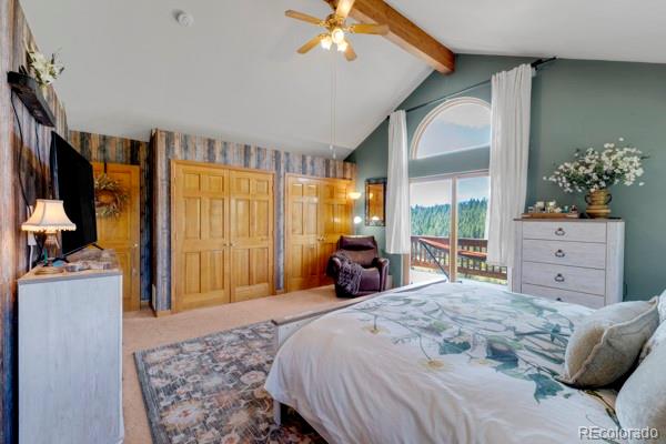 MLS Image #17 for 182  spruce trail,bailey, Colorado