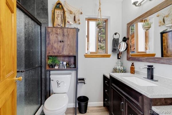 MLS Image #18 for 182  spruce trail,bailey, Colorado