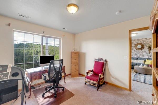 MLS Image #23 for 182  spruce trail,bailey, Colorado