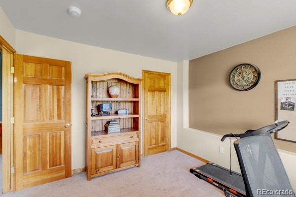 MLS Image #24 for 182  spruce trail,bailey, Colorado