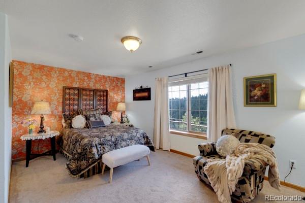 MLS Image #25 for 182  spruce trail,bailey, Colorado