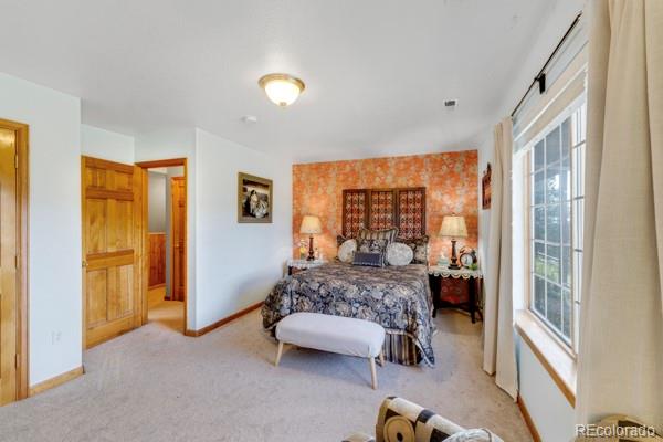 MLS Image #26 for 182  spruce trail,bailey, Colorado