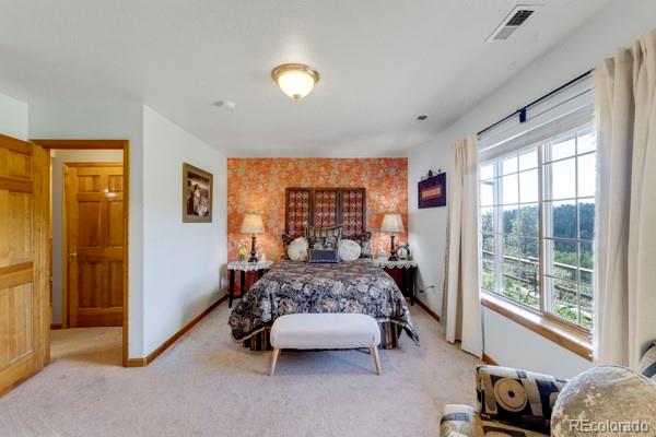MLS Image #27 for 182  spruce trail,bailey, Colorado