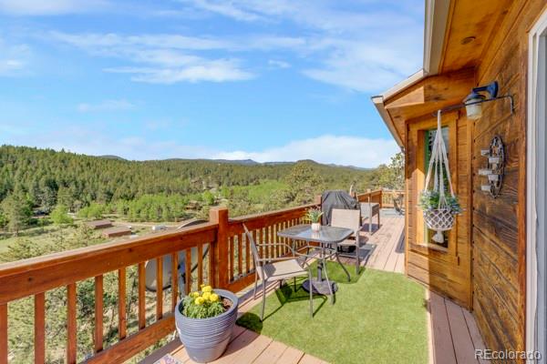 MLS Image #31 for 182  spruce trail,bailey, Colorado