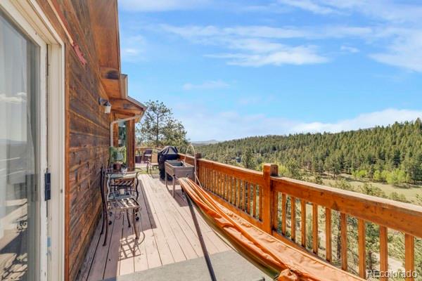 MLS Image #33 for 182  spruce trail,bailey, Colorado