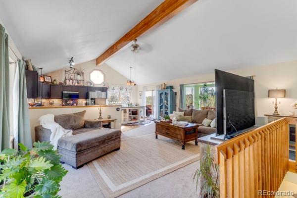 MLS Image #5 for 182  spruce trail,bailey, Colorado