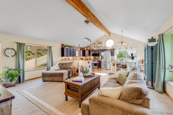 MLS Image #6 for 182  spruce trail,bailey, Colorado