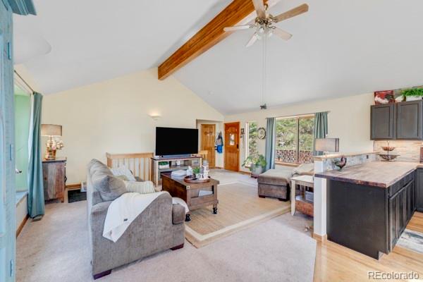 MLS Image #8 for 182  spruce trail,bailey, Colorado