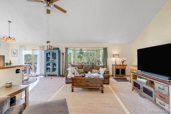 MLS Image #9 for 182  spruce trail,bailey, Colorado