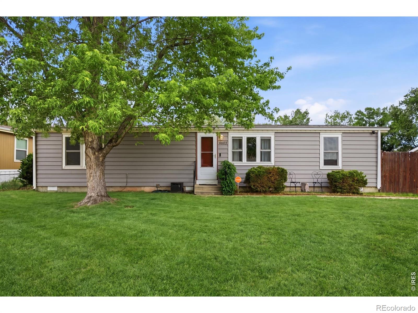 MLS Image #2 for 4603  yellowstone drive,greeley, Colorado