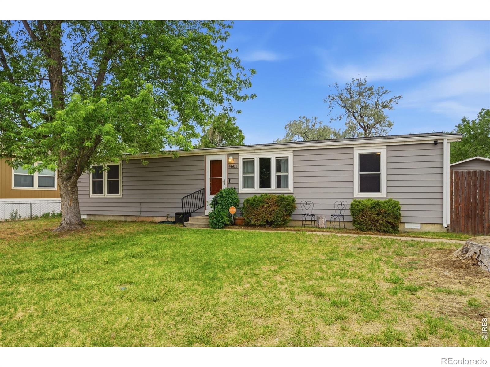 MLS Image #4 for 4603  yellowstone drive,greeley, Colorado