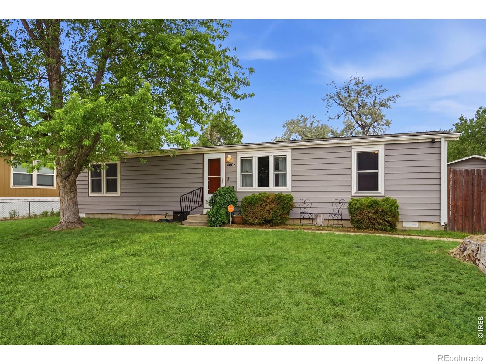 MLS Image #5 for 4603  yellowstone drive,greeley, Colorado
