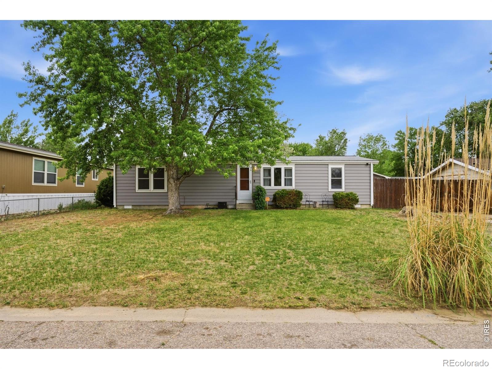 MLS Image #6 for 4603  yellowstone drive,greeley, Colorado