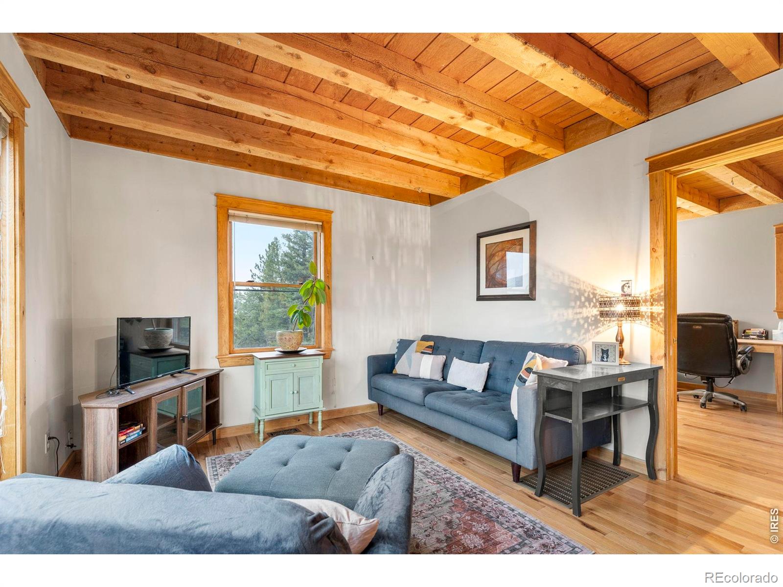 MLS Image #12 for 515 n beaver road,nederland, Colorado