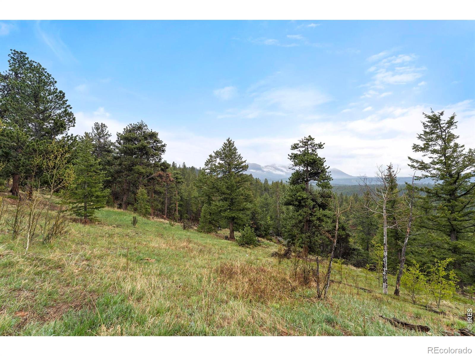 MLS Image #26 for 515 n beaver road,nederland, Colorado