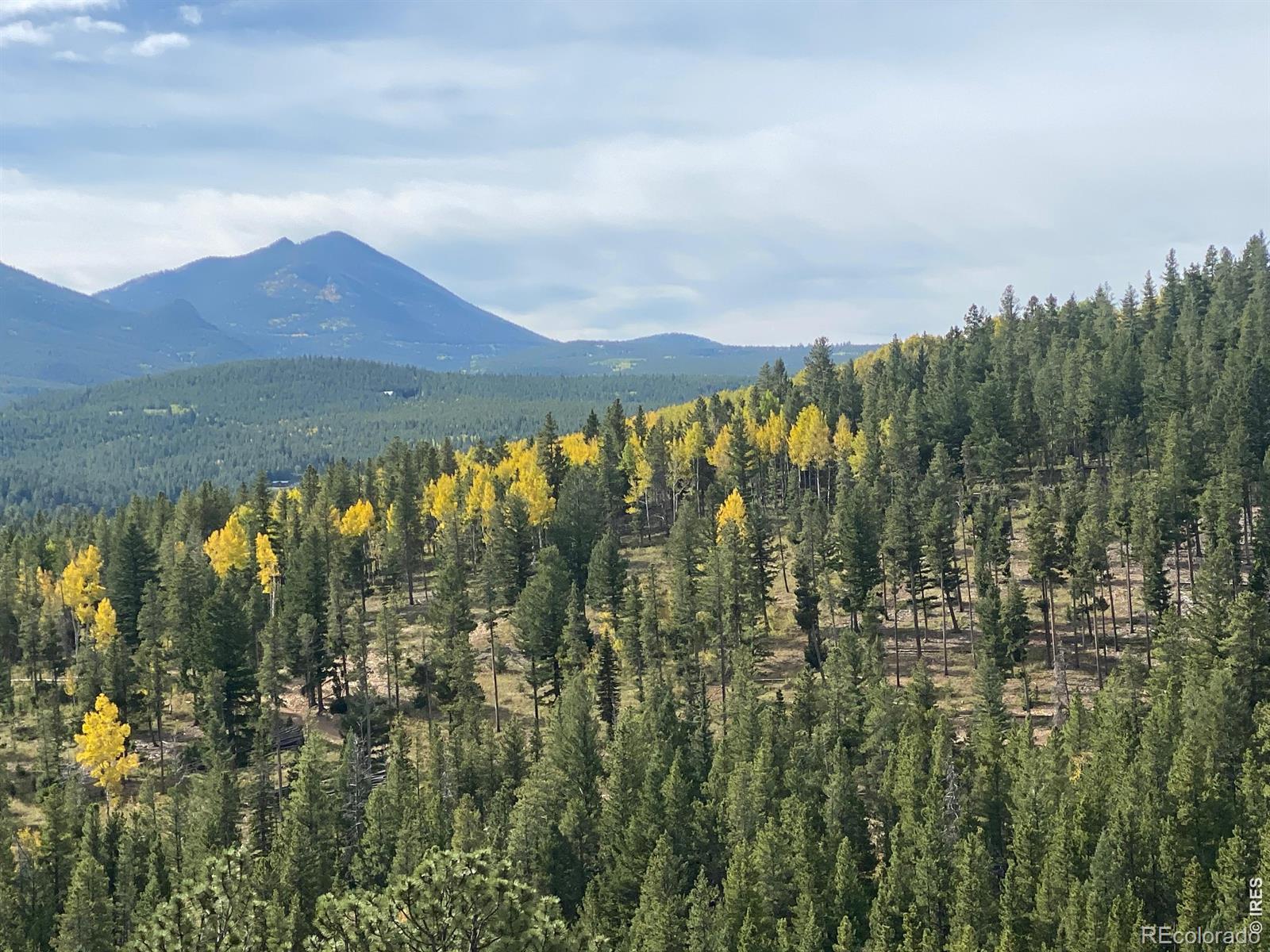 MLS Image #38 for 515 n beaver road,nederland, Colorado