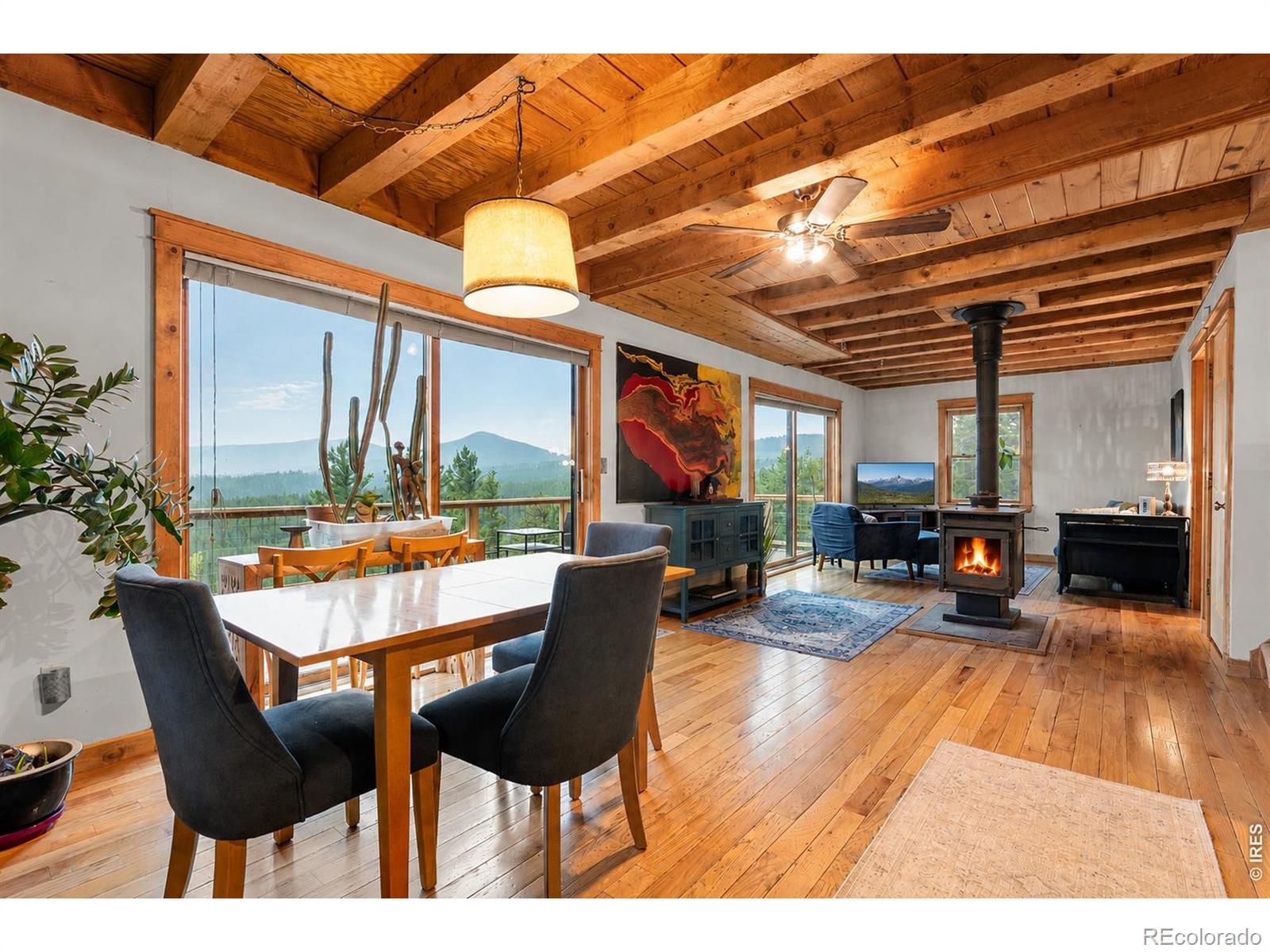MLS Image #4 for 515 n beaver road,nederland, Colorado