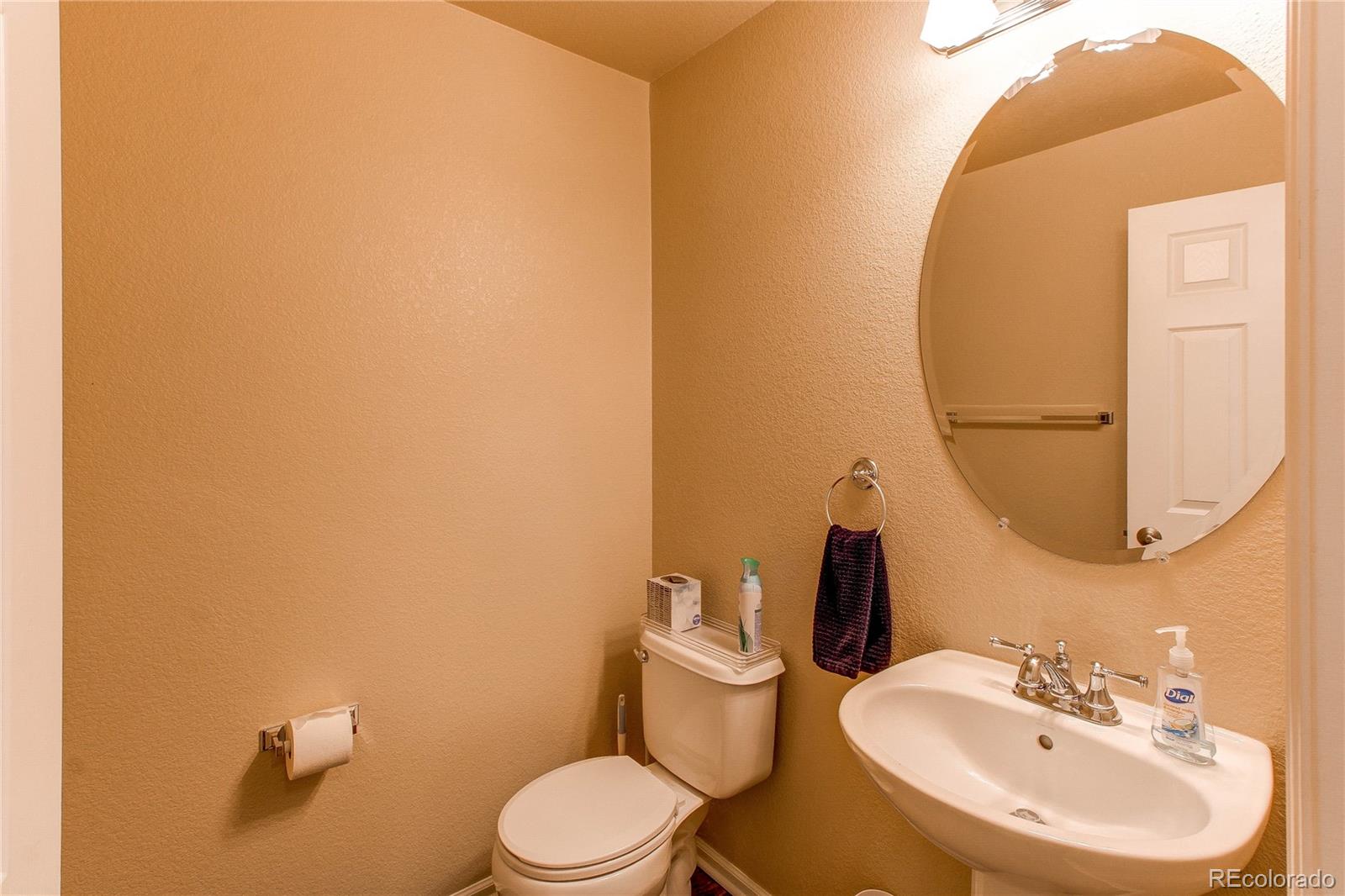 MLS Image #24 for 546  lost valley point ,castle rock, Colorado