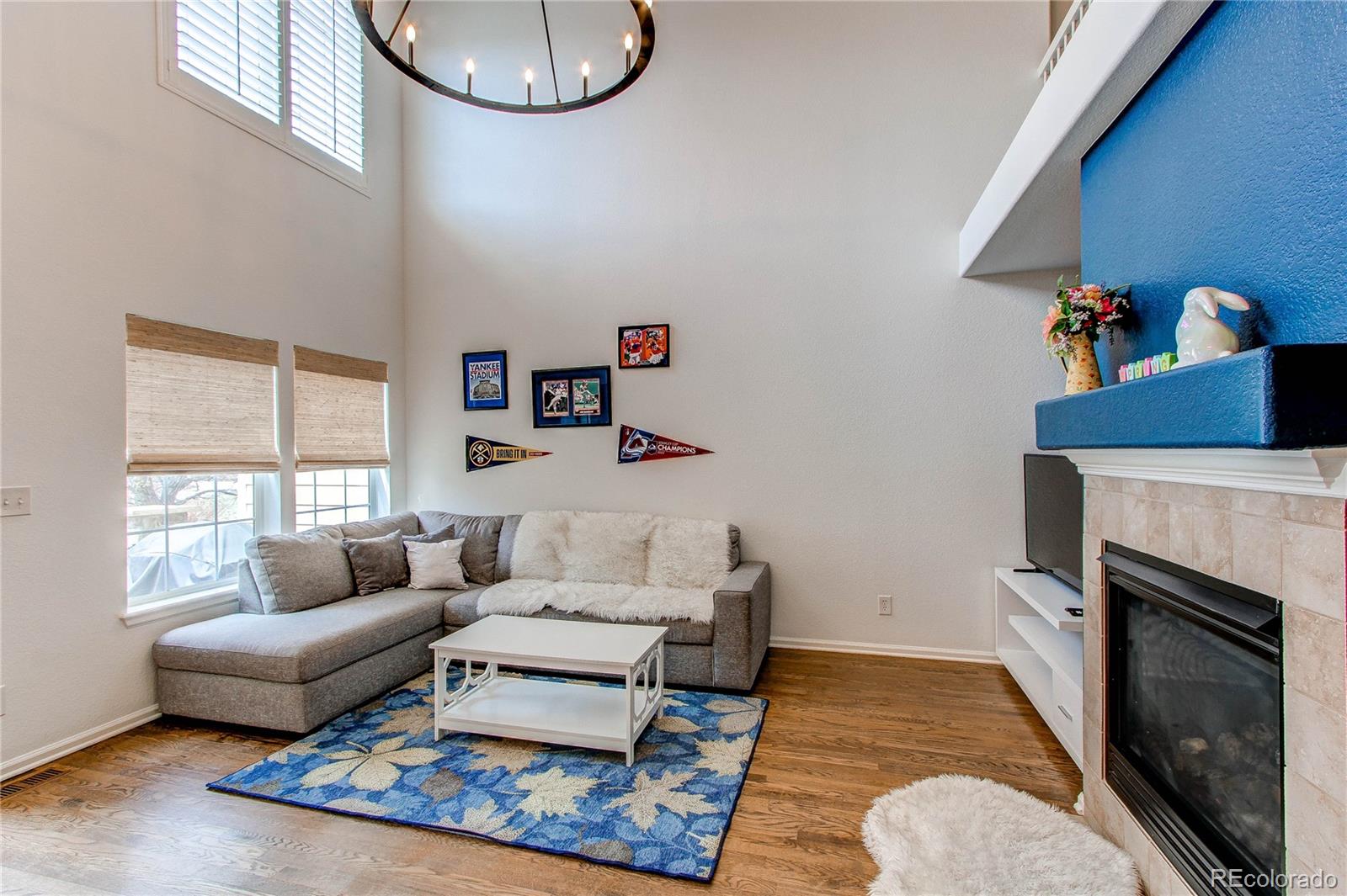MLS Image #6 for 546  lost valley point ,castle rock, Colorado