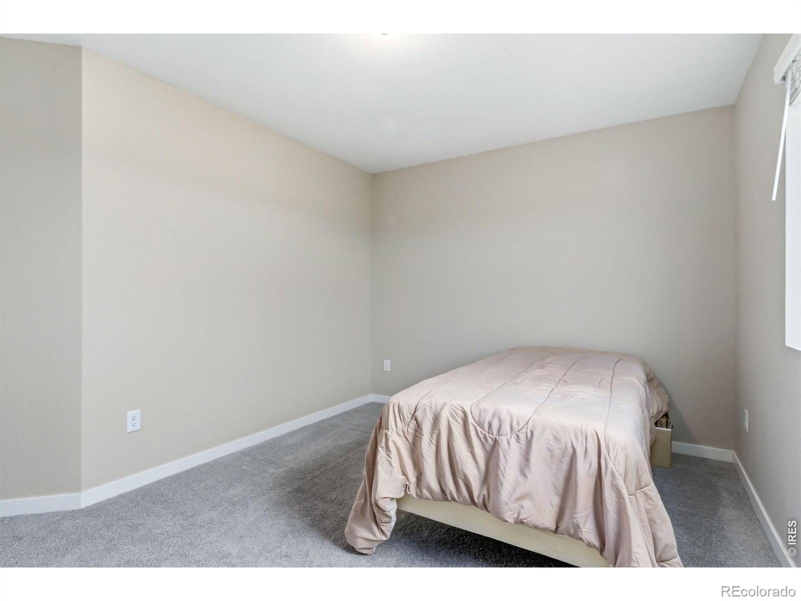 MLS Image #28 for 4510  barrow lane,timnath, Colorado