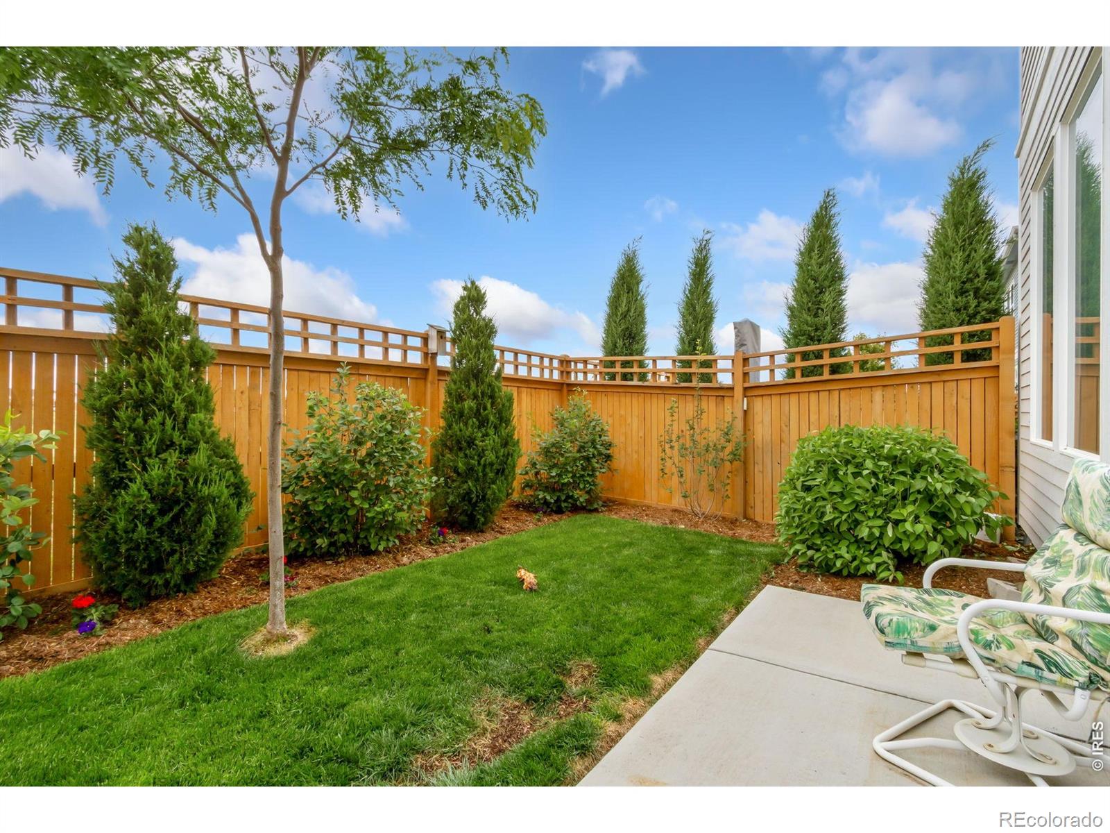 MLS Image #34 for 4510  barrow lane,timnath, Colorado