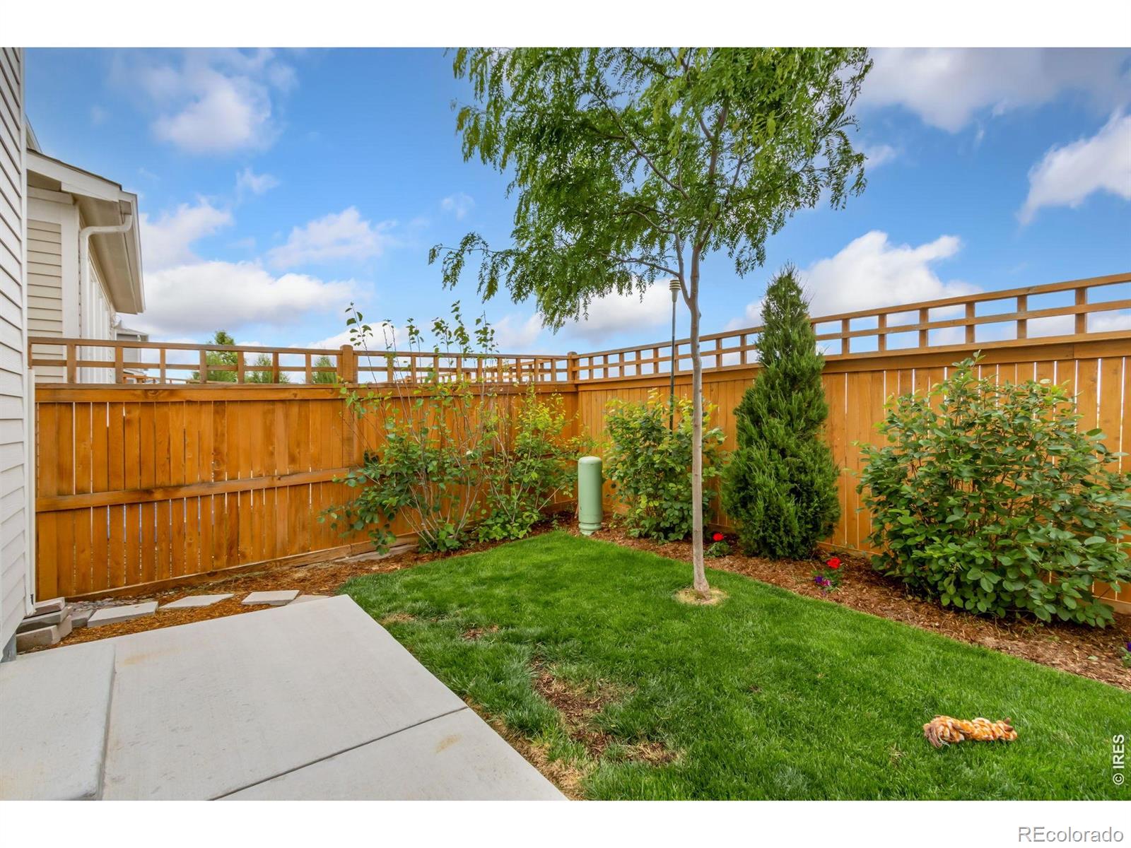 MLS Image #35 for 4510  barrow lane,timnath, Colorado