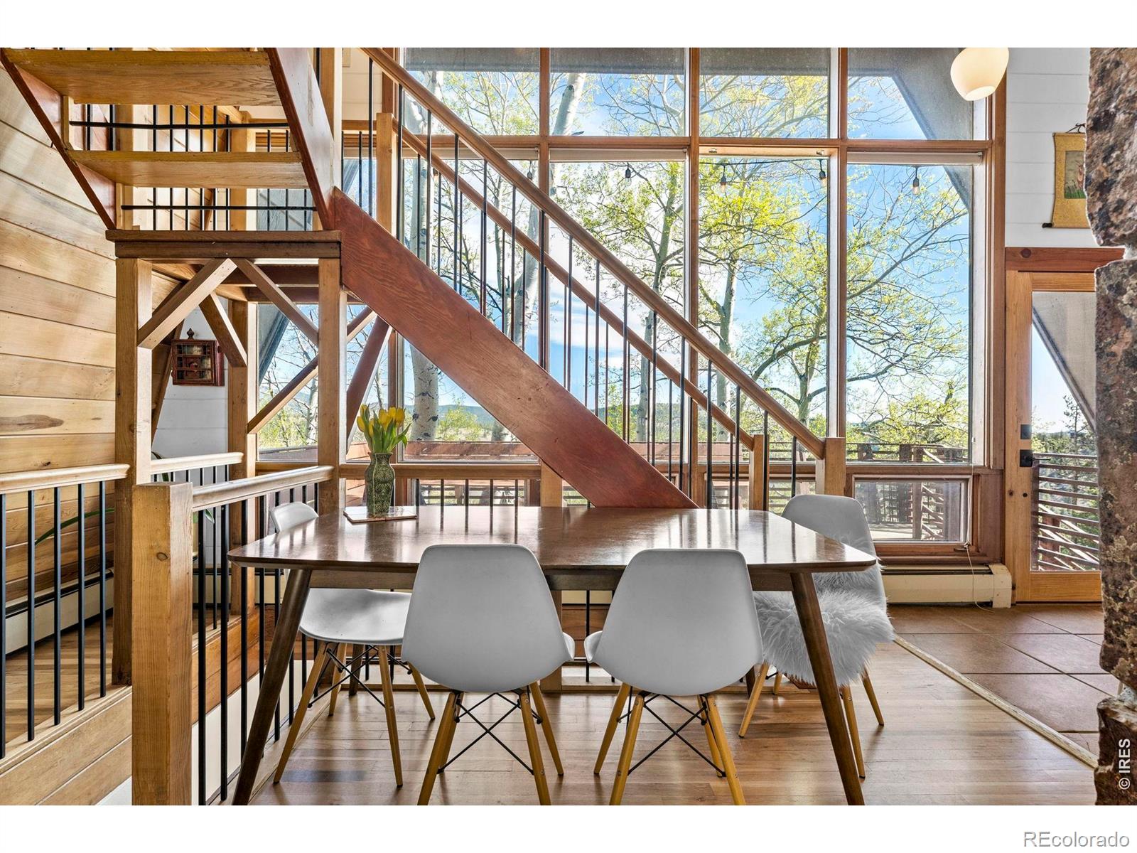 MLS Image #10 for 56  valley view drive,nederland, Colorado