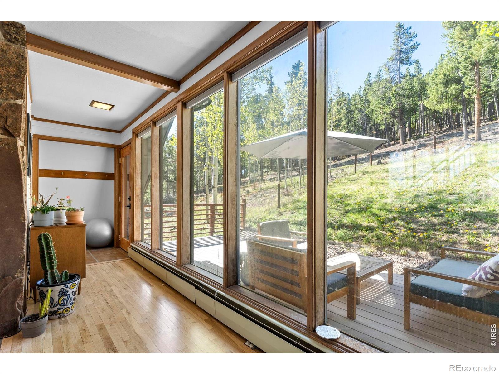 MLS Image #14 for 56  valley view drive,nederland, Colorado