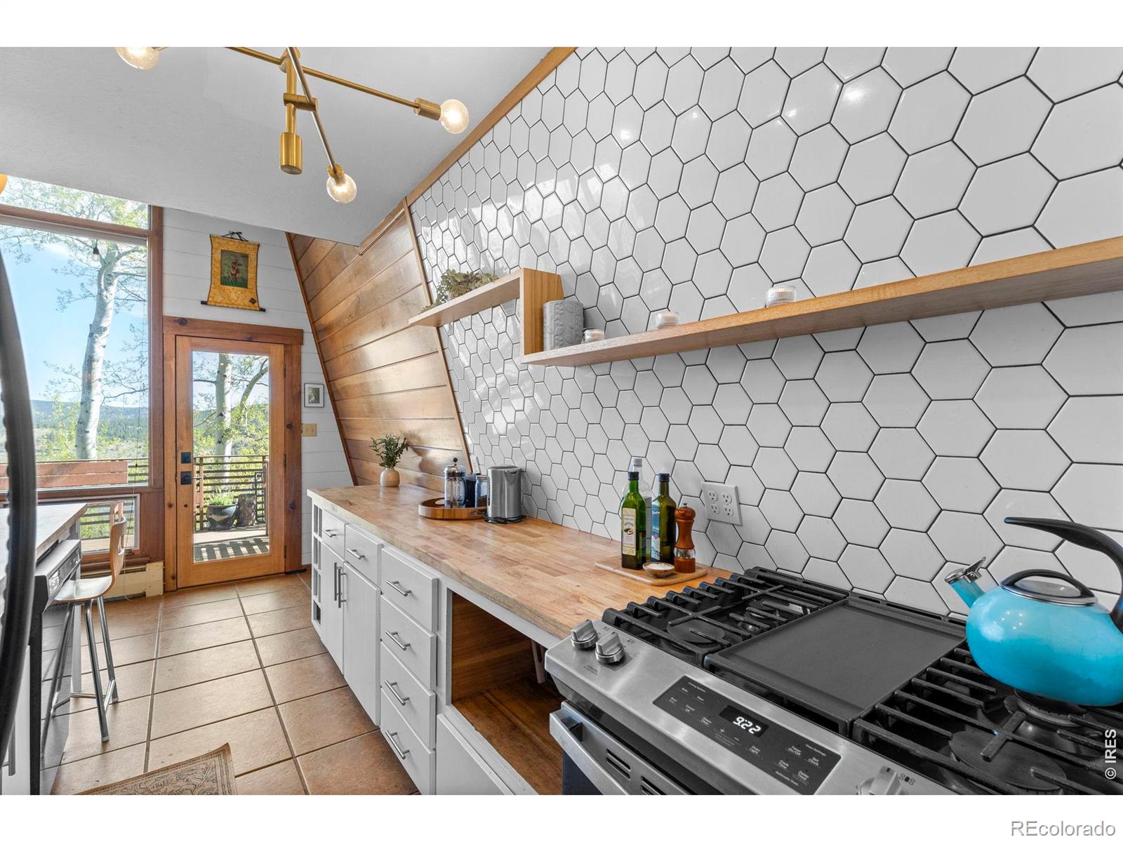 MLS Image #20 for 56  valley view drive,nederland, Colorado