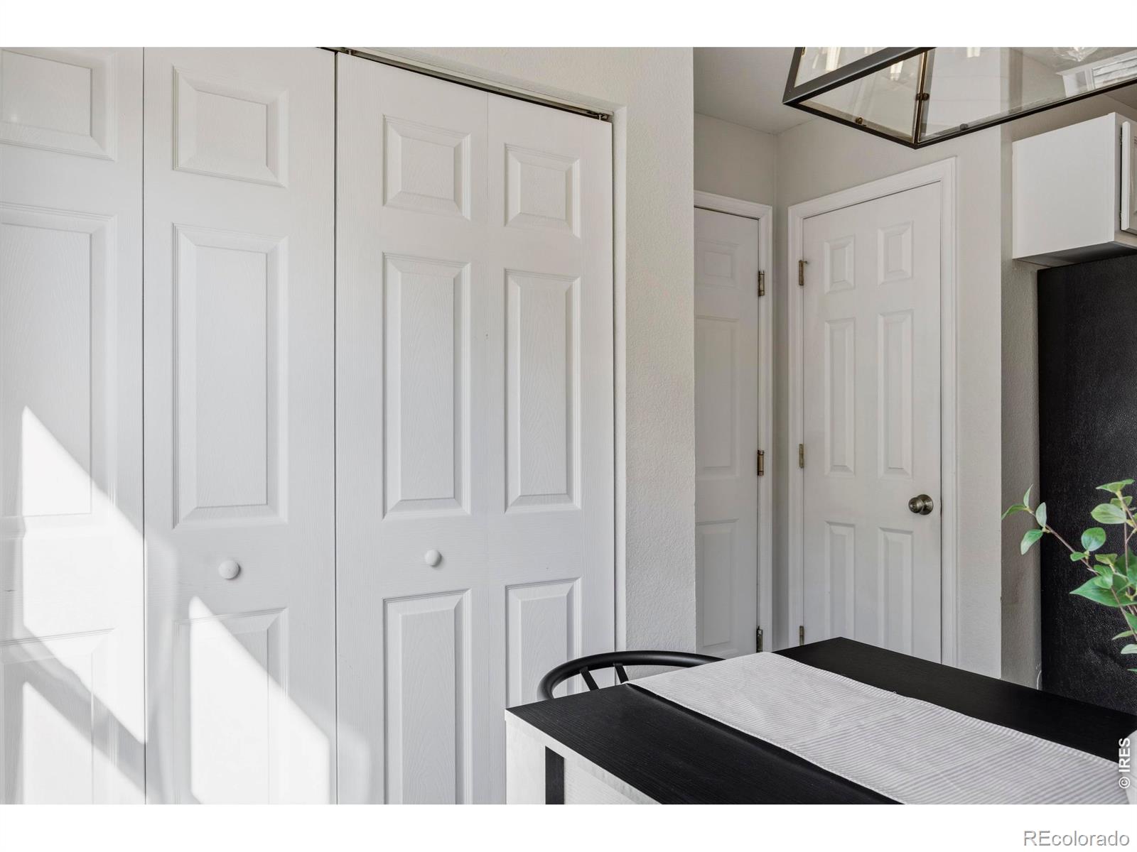 MLS Image #14 for 1026  berwick court,fort collins, Colorado