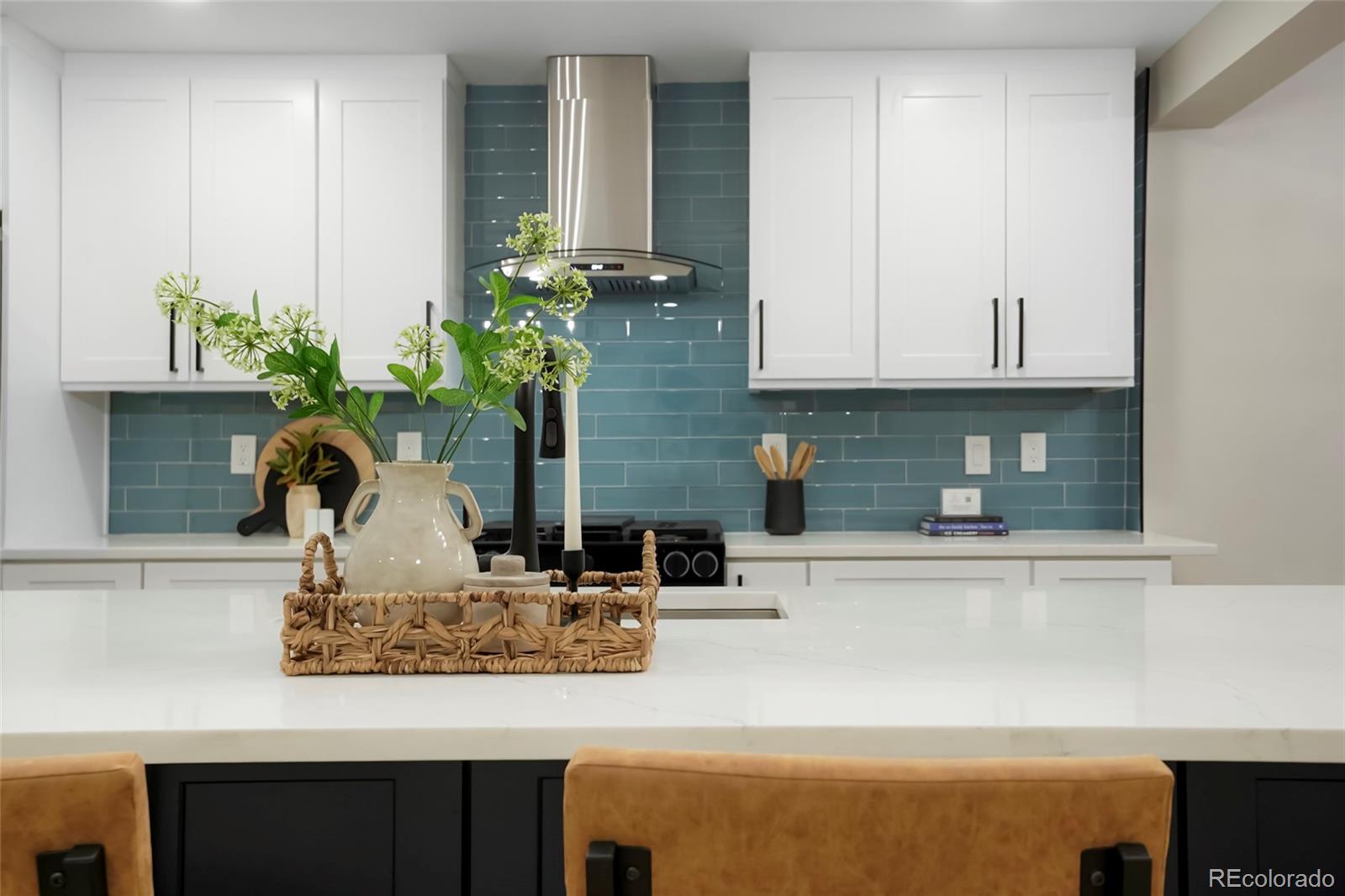 MLS Image #8 for 3046  saint paul street,denver, Colorado