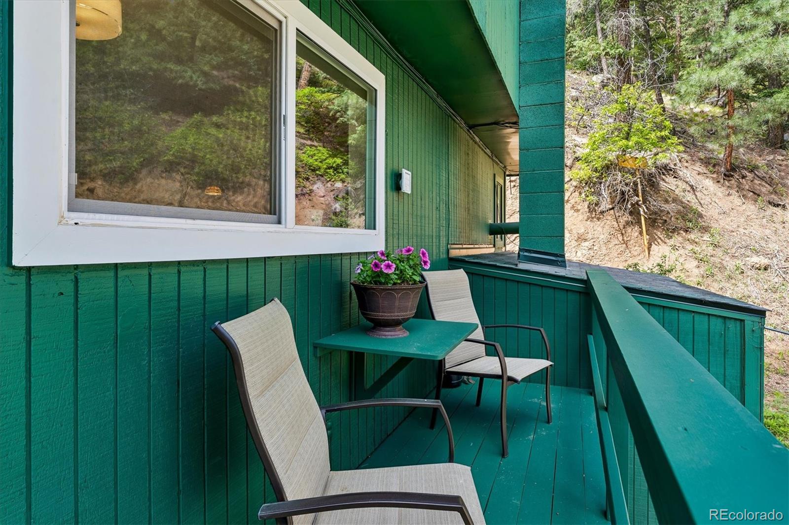 MLS Image #37 for 1833  hidden valley road,sedalia, Colorado