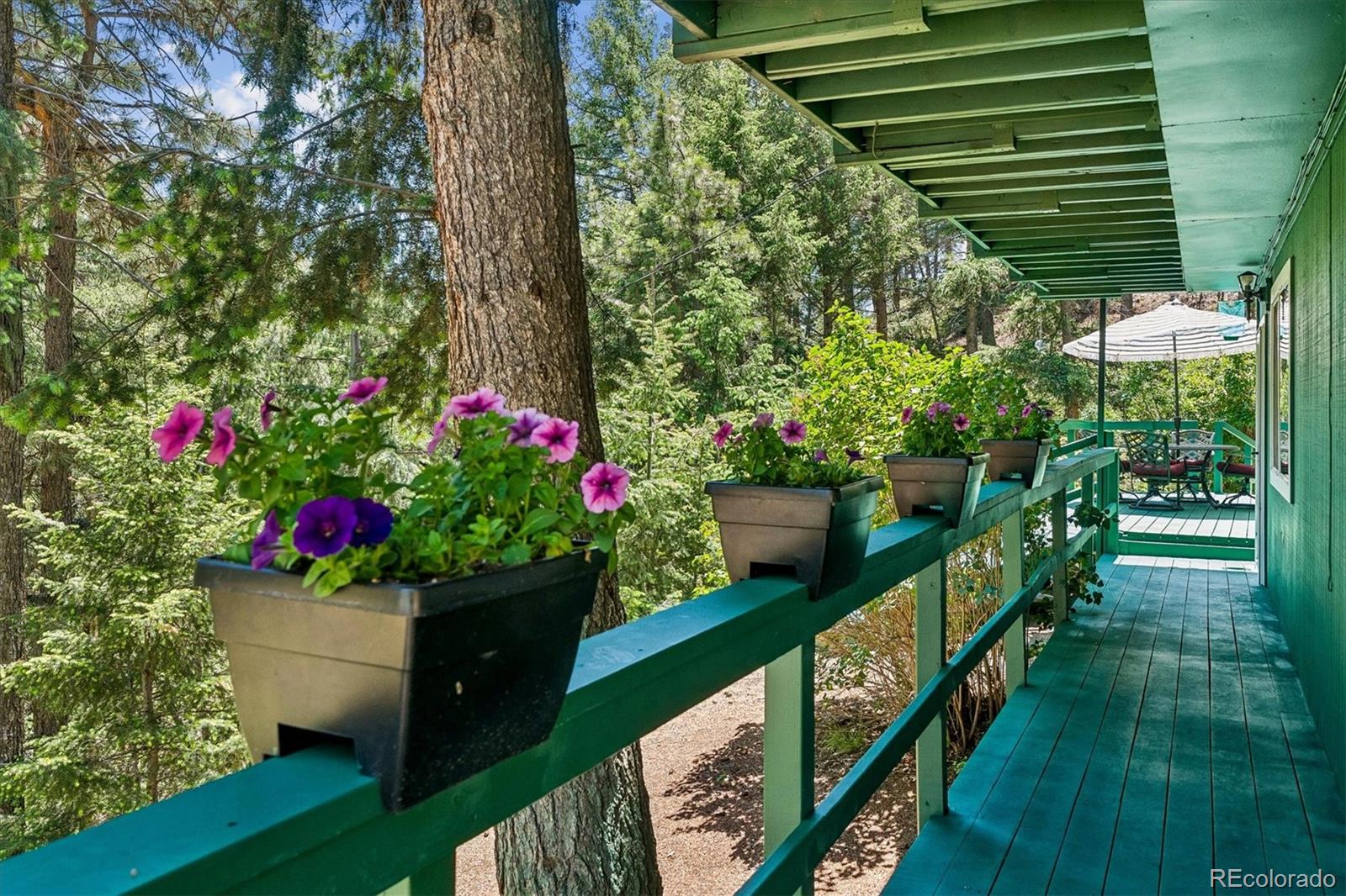 MLS Image #4 for 1833  hidden valley road,sedalia, Colorado