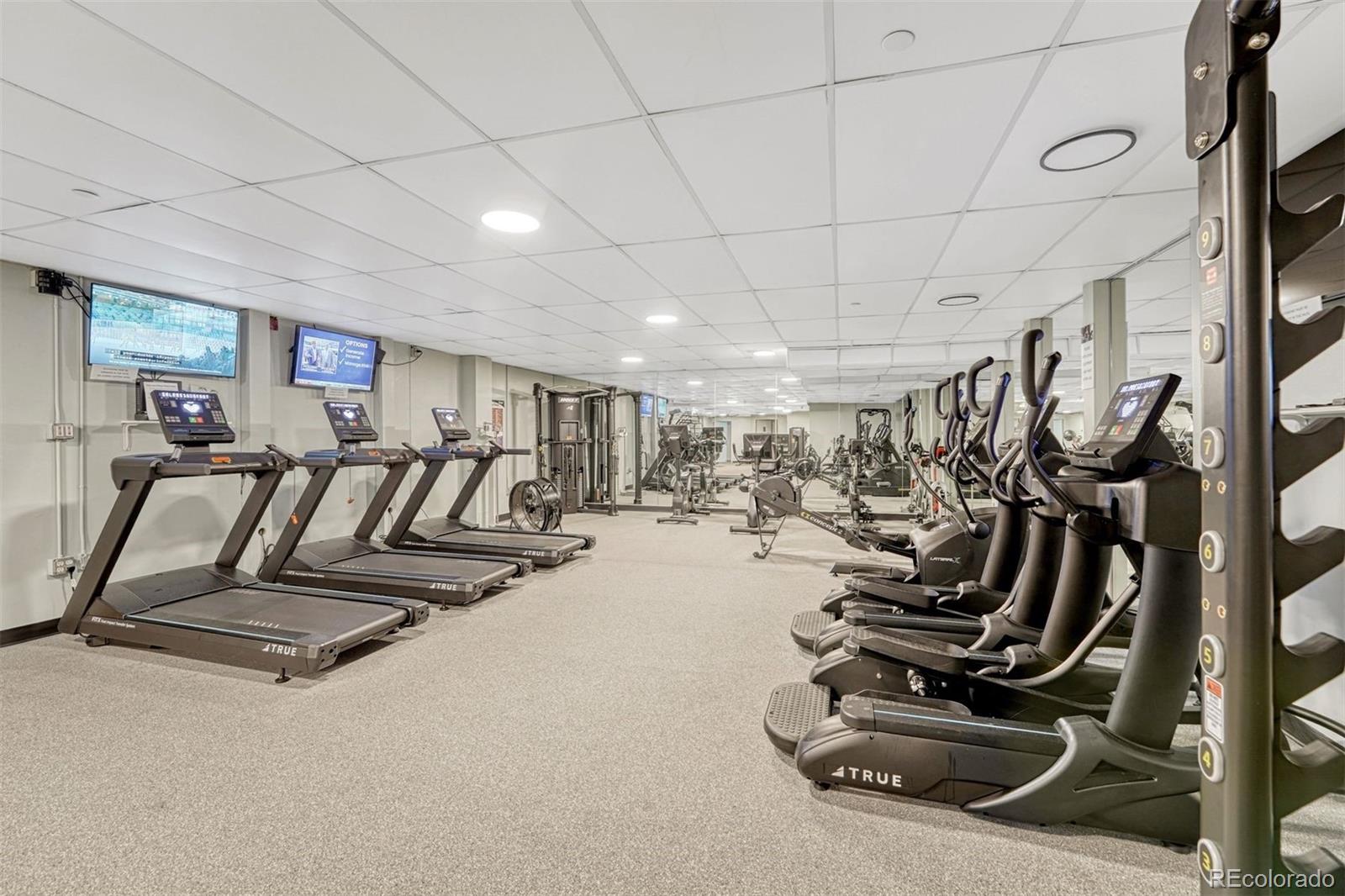 MLS Image #35 for 480 s marion parkway 305,denver, Colorado