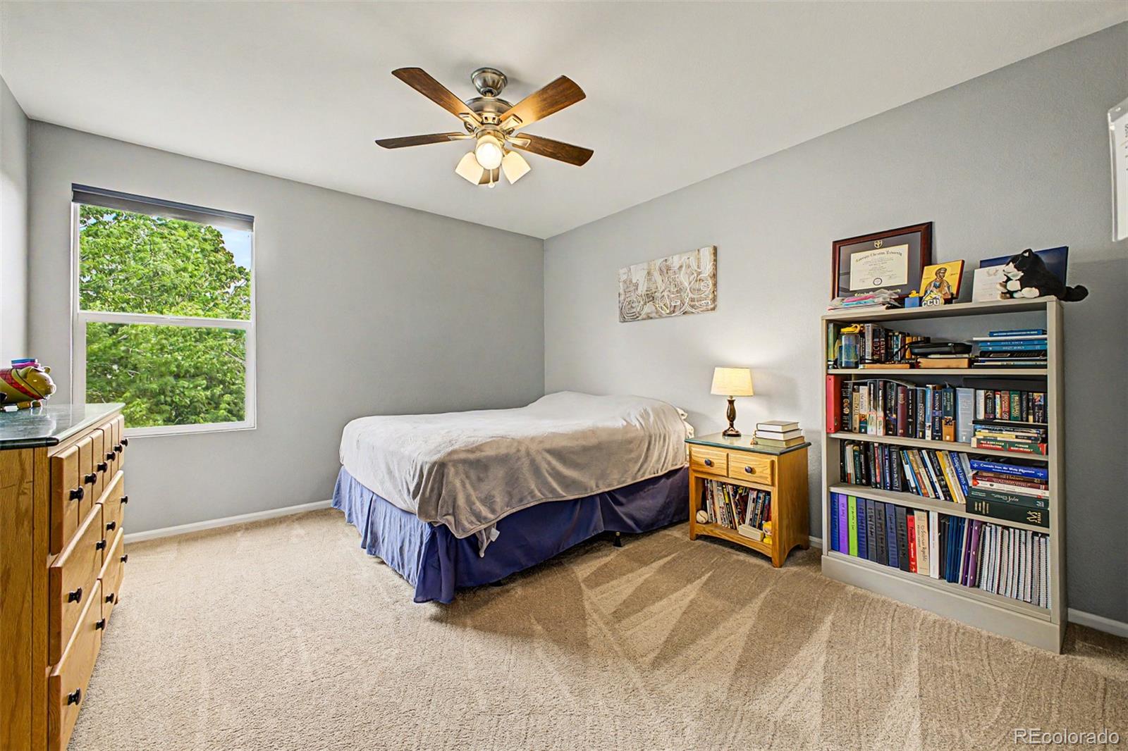 MLS Image #25 for 16566  high desert way,parker, Colorado