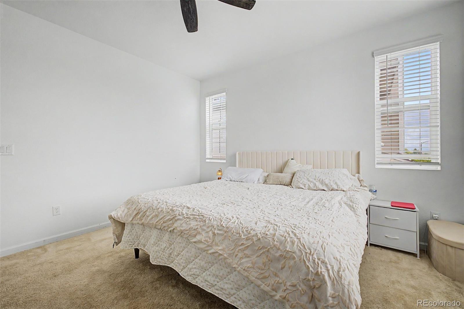 MLS Image #14 for 18119 e 96th avenue,commerce city, Colorado