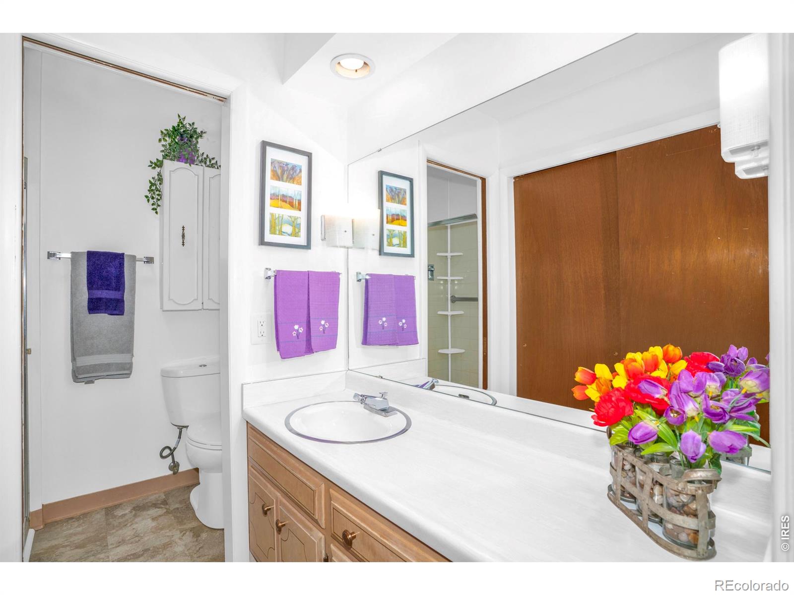 MLS Image #19 for 1917  sequoia street,fort collins, Colorado