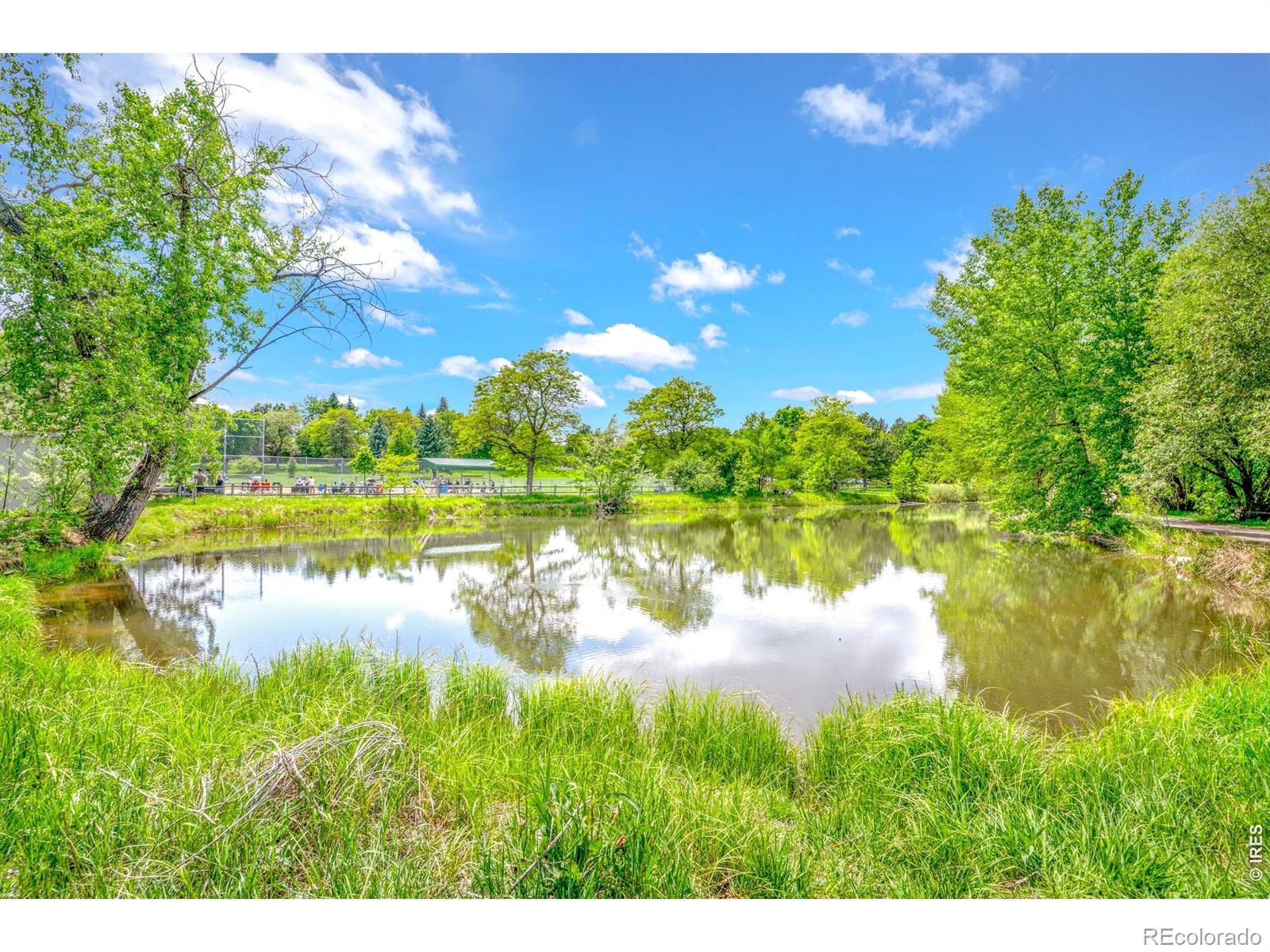 MLS Image #35 for 1917  sequoia street,fort collins, Colorado