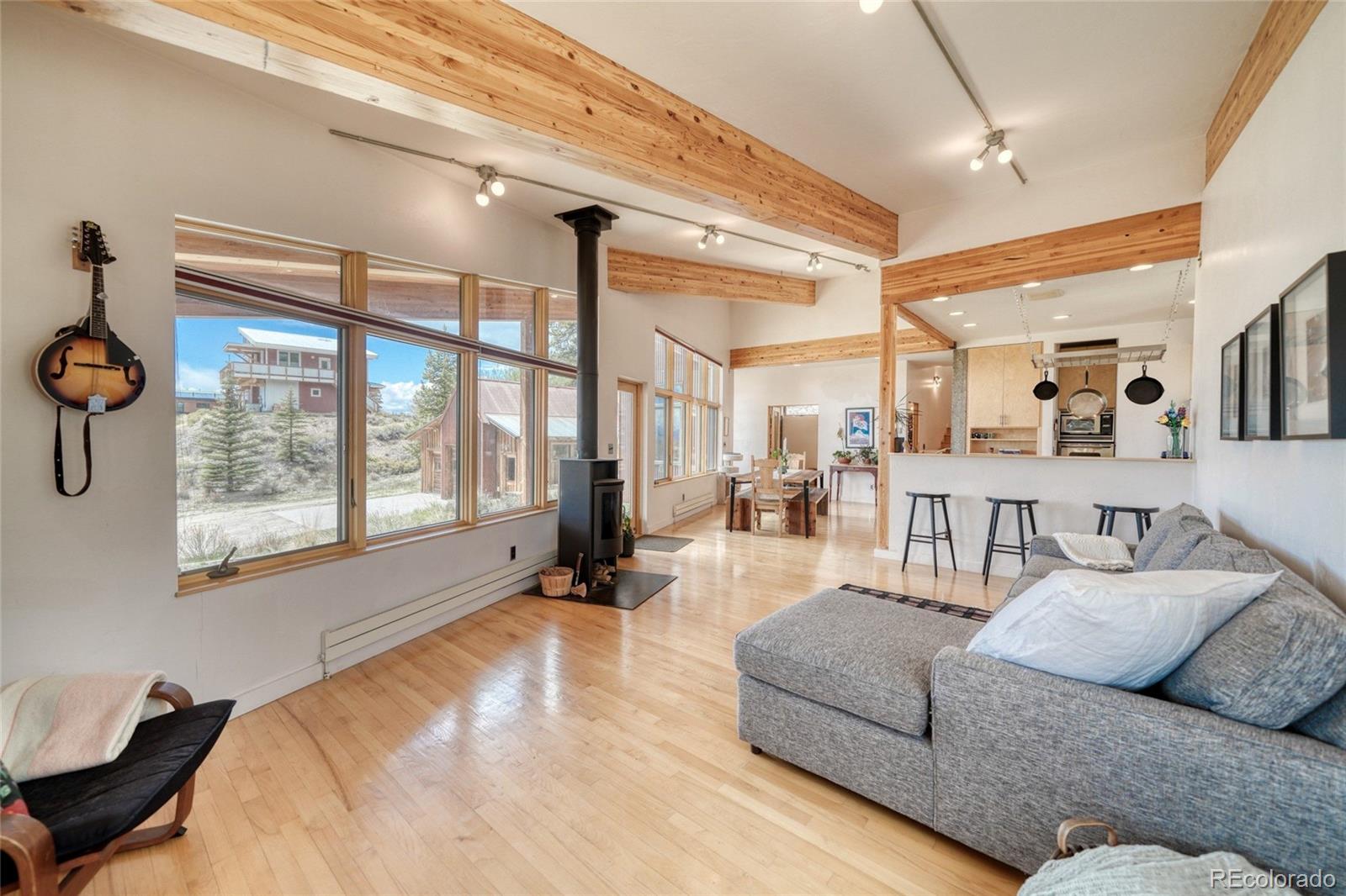 MLS Image #16 for 850  ash street,leadville, Colorado