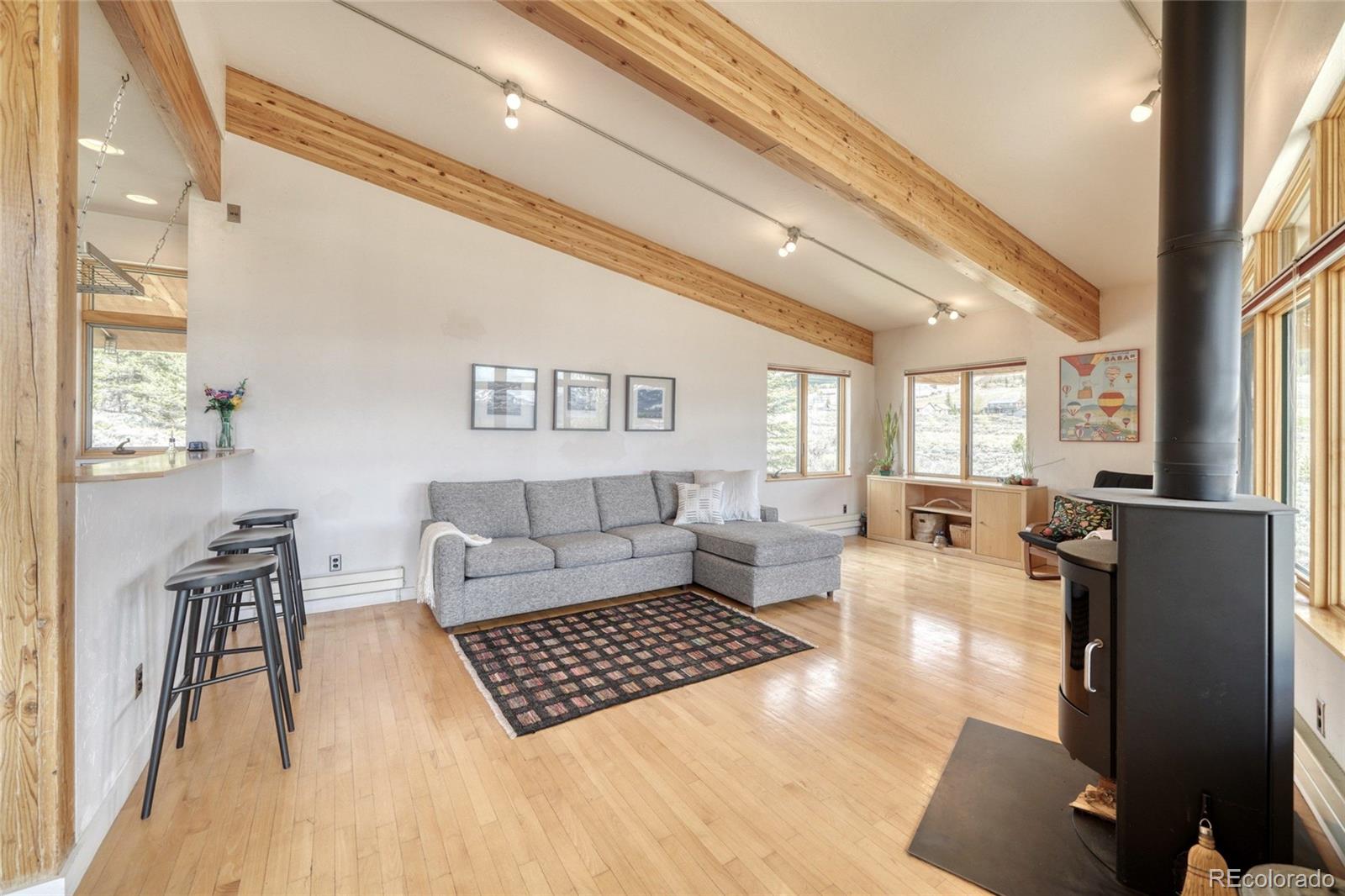 MLS Image #17 for 850  ash street,leadville, Colorado