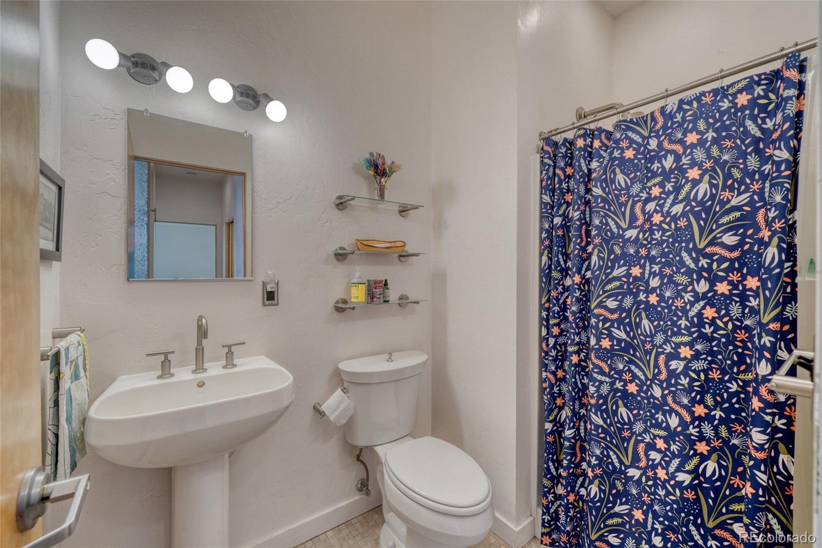 MLS Image #19 for 850  ash street,leadville, Colorado