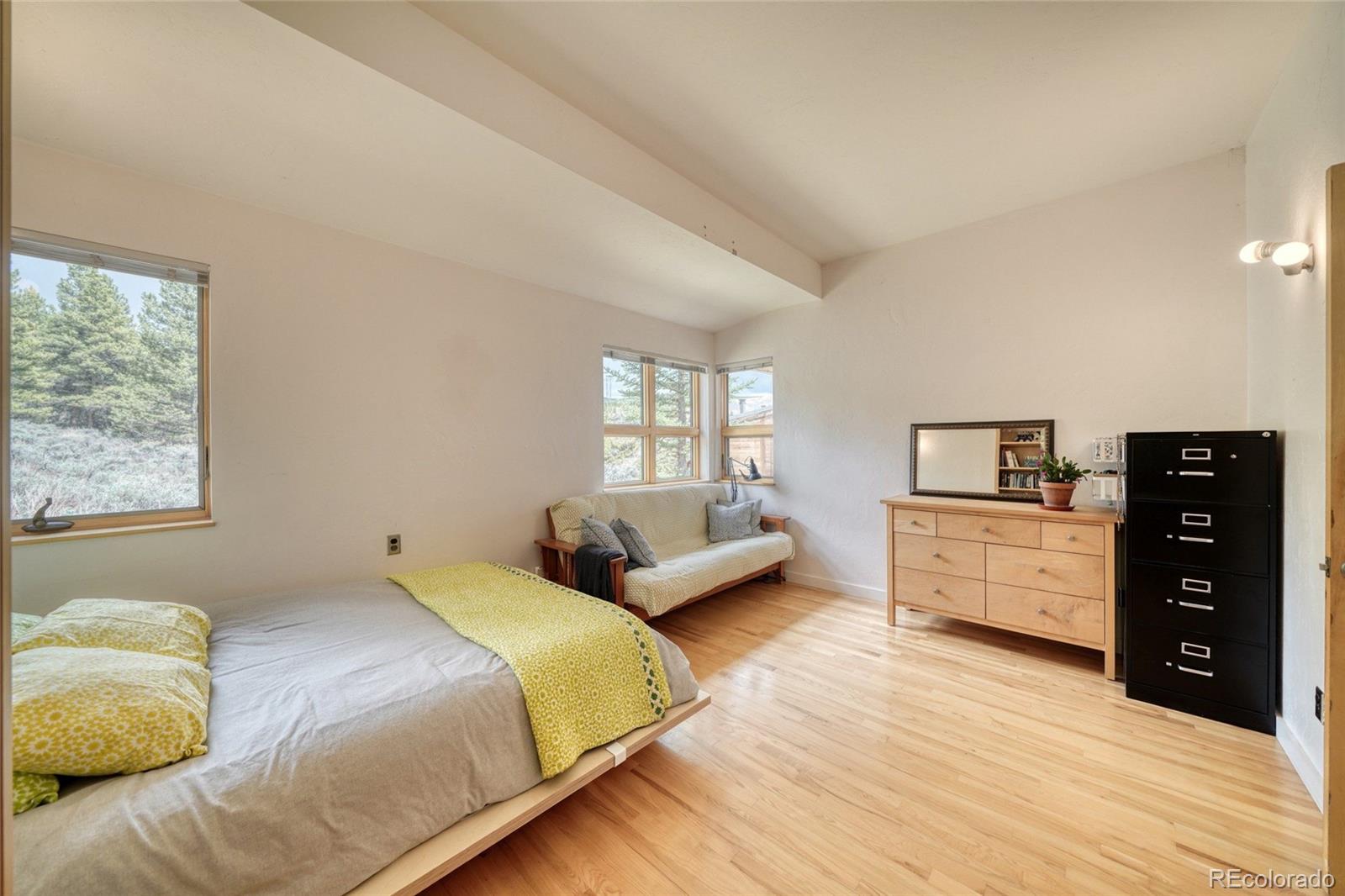 MLS Image #23 for 850  ash street,leadville, Colorado