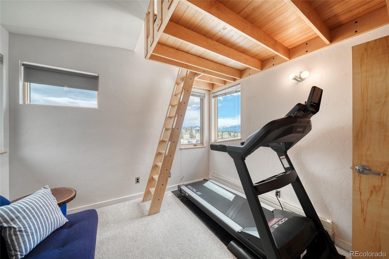 MLS Image #30 for 850  ash street,leadville, Colorado
