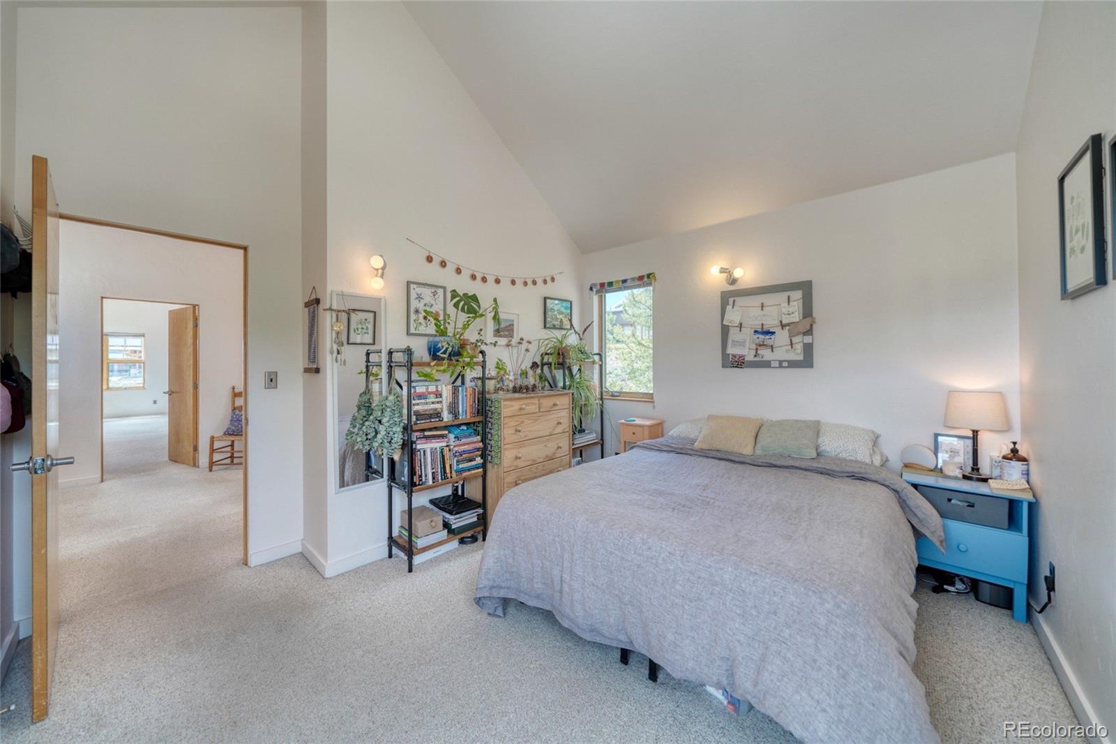 MLS Image #35 for 850  ash street,leadville, Colorado