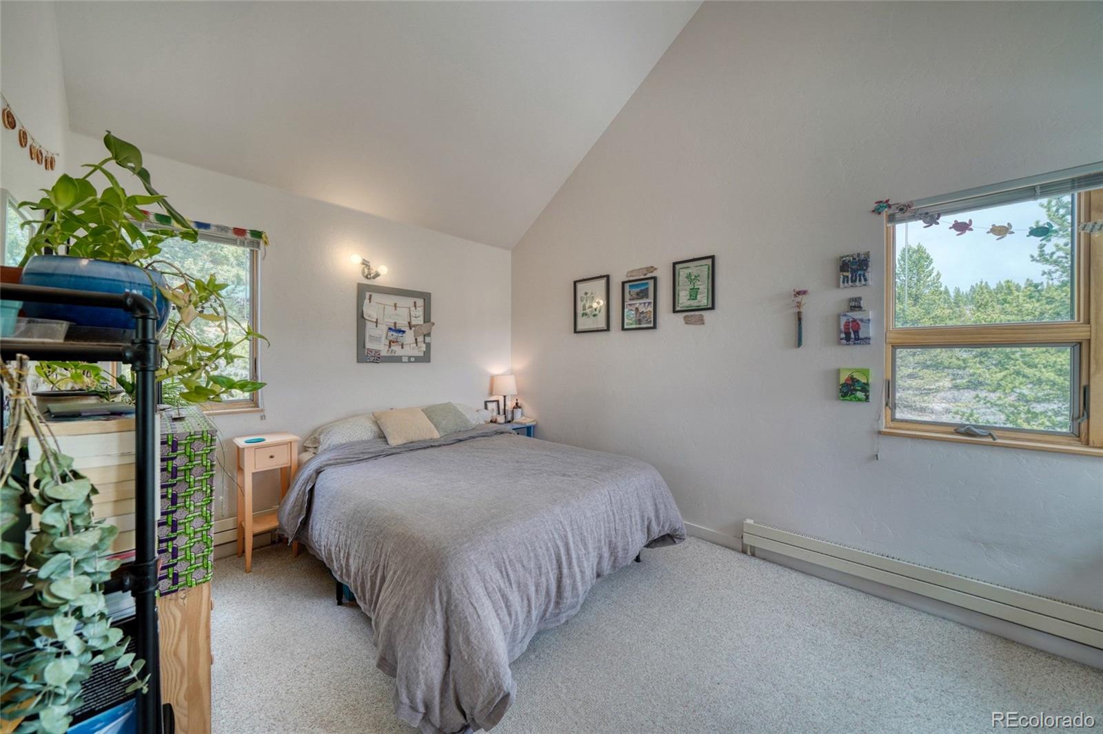 MLS Image #37 for 850  ash street,leadville, Colorado
