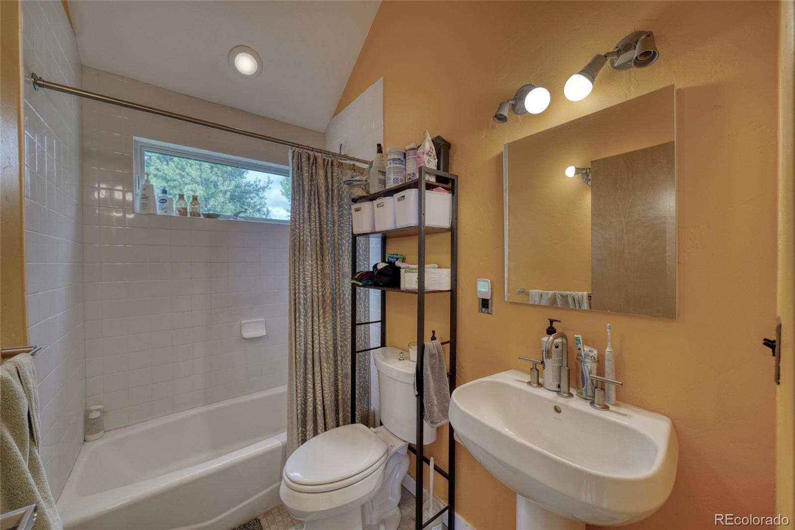 MLS Image #38 for 850  ash street,leadville, Colorado